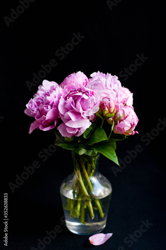 pink peonies in vase on black background