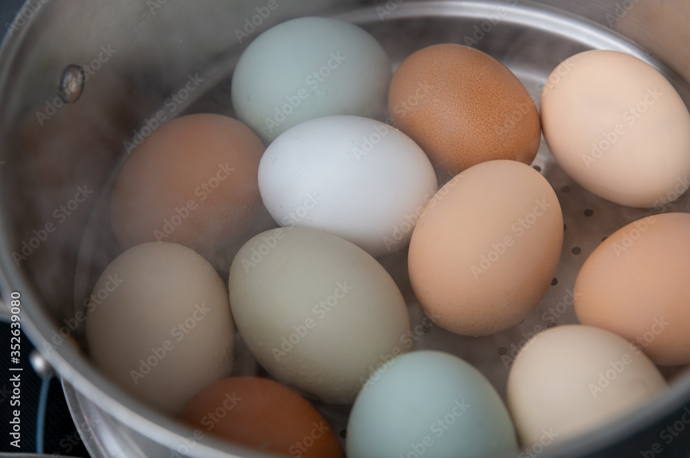 Pastured Eggs From Different Chickens Being Steamed Pastured Eggs From Different Chickens Being Steamed