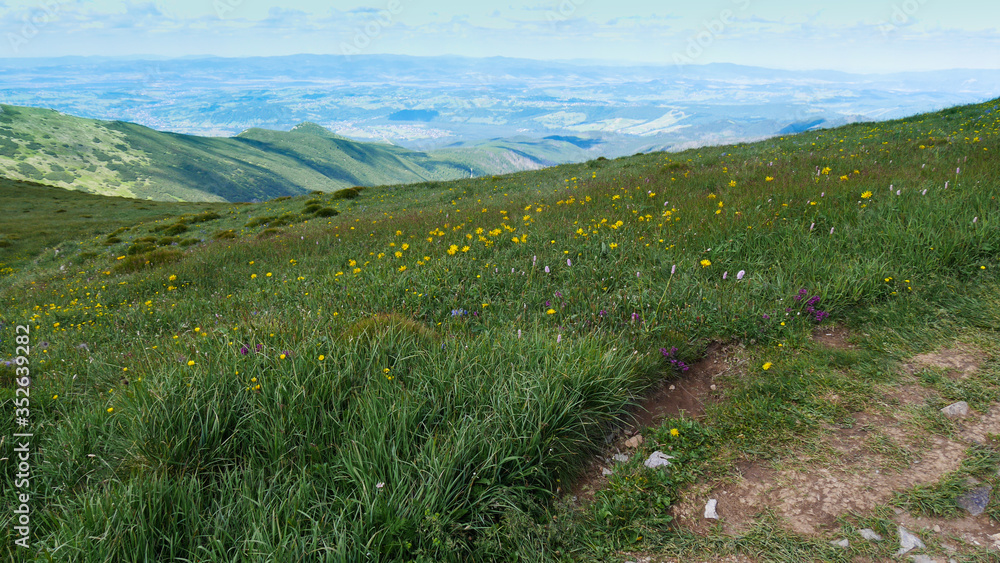 mountain landscape in the summer