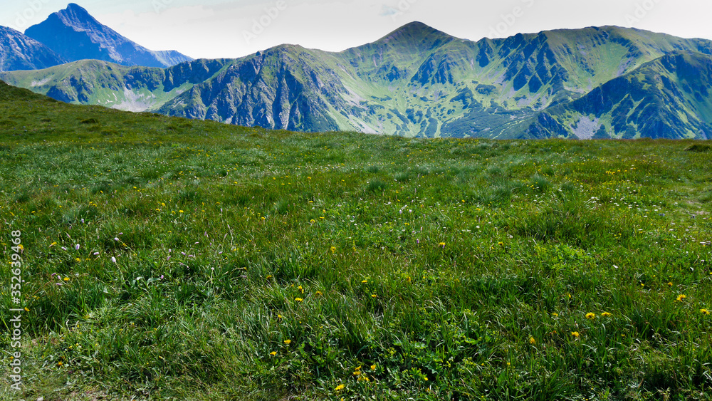 green grass and mountains