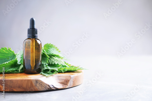 Nettle essence oil in dark bottle and fresh nettle leaves on grey background. Medicinal herb for health and beauty, skin care and hair treatment
