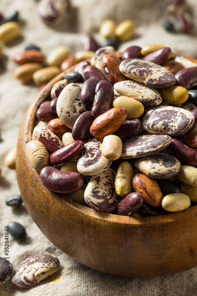 Raw Dried Organic Bean Assortment Raw Dried Organic Bean Assortment