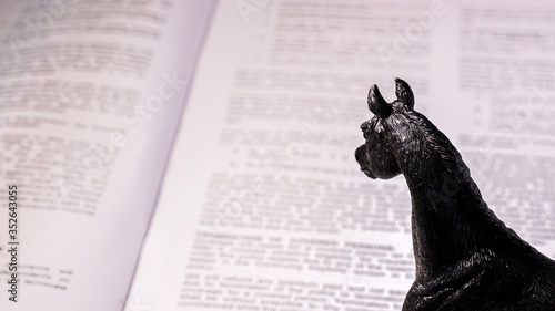 An educated horse reviews a contract.