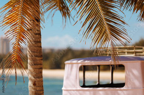 Close up of pink retro bus near palm tree on sandy beach. Natural background and wallpaper. Hainan island, exotic resort for tourist.