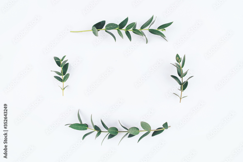 Obraz premium Green eucalyptus branches on a white background. Flat lay, top view.