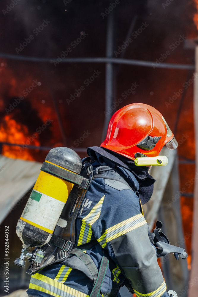 Fototapeta premium Firefighters spray water to wildfire.