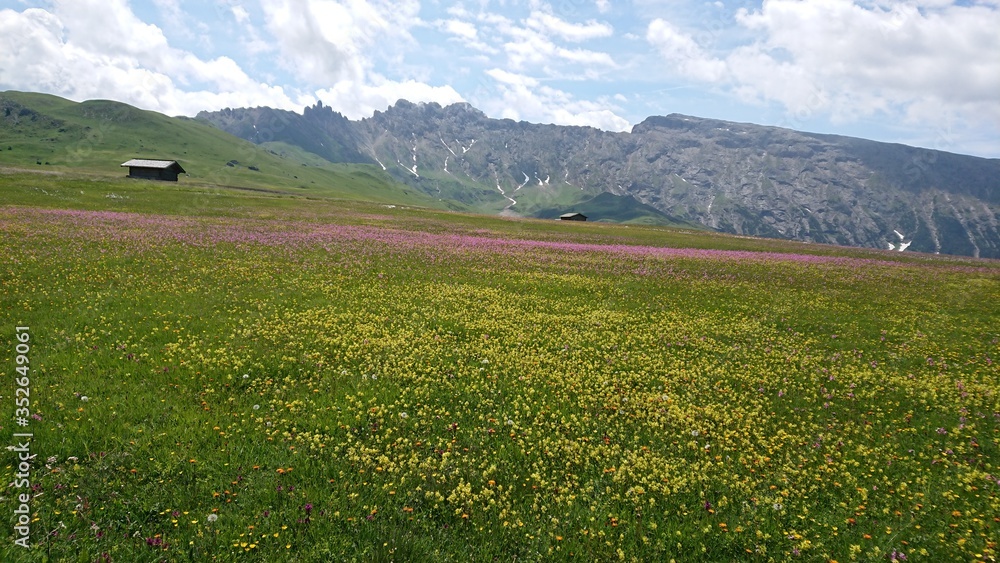 Fototapeta premium mountain landscape in the summer