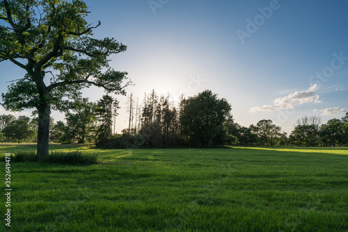 The pastures and trees of a floodplain are bathed in shade and evening light after a beautiful day. © Ralph
