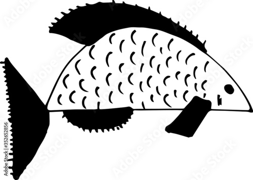 vector illustration of a fish