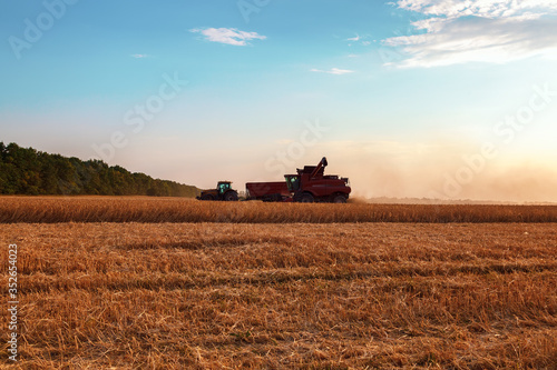Combine harvester in a wheat field on a sunny summer day