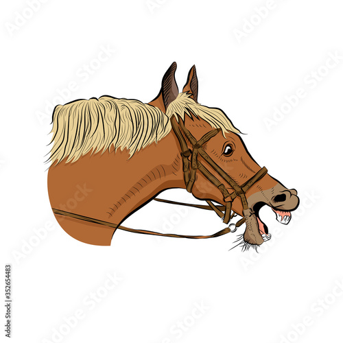 The horse head.  Very surprised emotion.