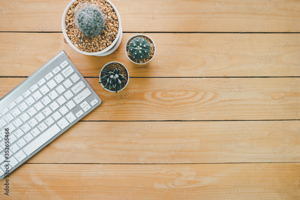Fototapeta premium Silver wireless keyboard and three cactus plants in a white pot on a wooden table, Space for putting advertising messages or product presentations, work from home, business technology concept