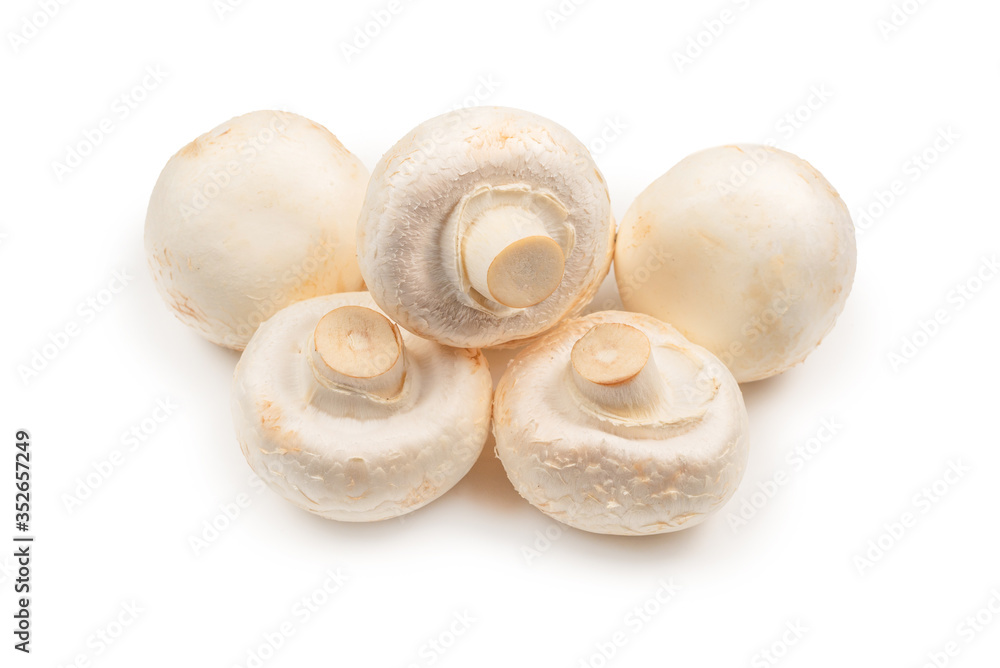 Champignon mushroom isolated on white background. Champignon mushroom isolated on white background.