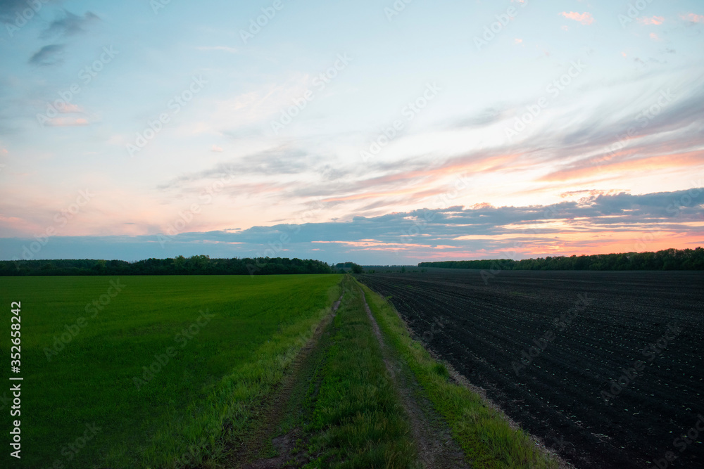 Fototapeta premium Green and black field, 2 opposites in nature
