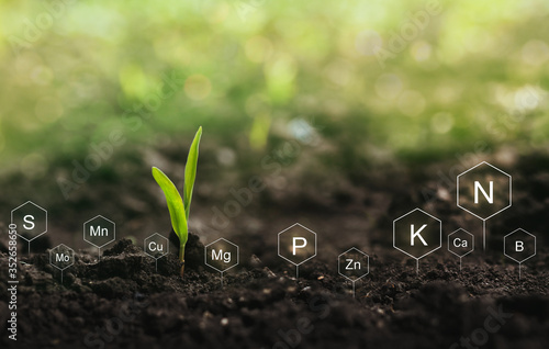 Fertilization and the role of nutrients in plant life. Soil with digital mineral nutrients icon. photo