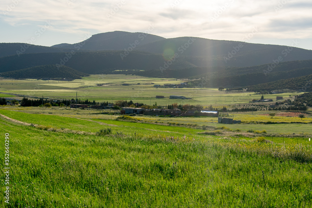 Beautiful scenic views of green fields and mountains in the background from The Aures mountains in Algeria