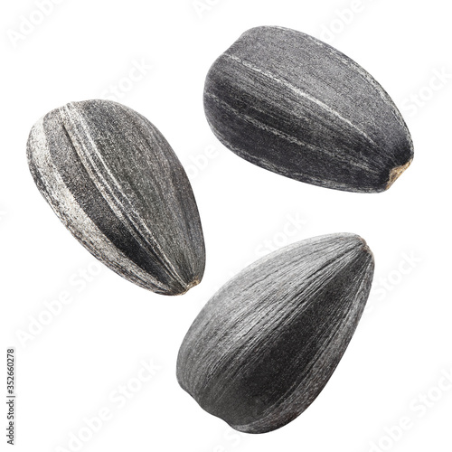 Flying delicious sunflower black seeds, isolated on white background