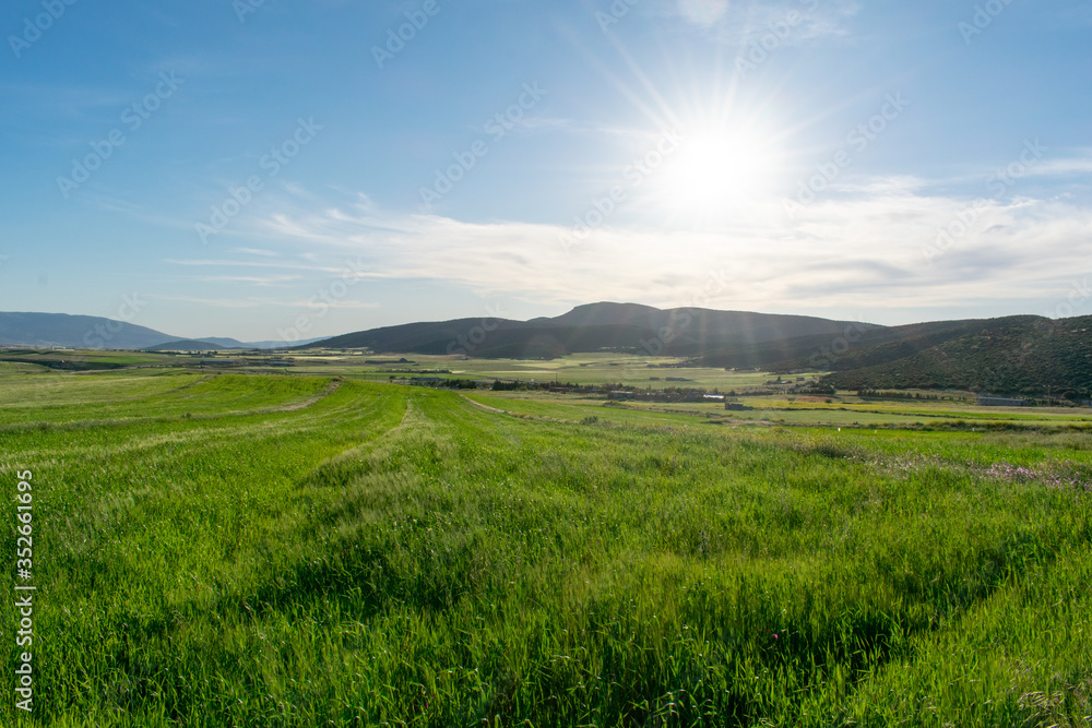 Beautiful scenic views of green fields and mountains in the background from The Aures mountains in Algeria Beautiful scenic views of green fields and mountains in the background from The Aures mountains in Algeria