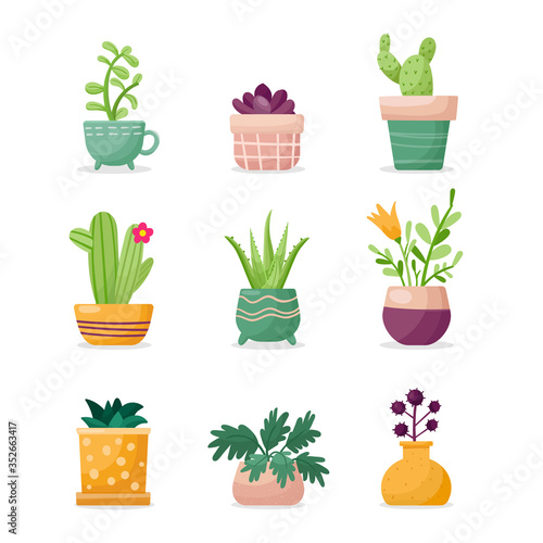 Green Plants in pots. Cartoon houseplants set. Aloe vera, succulent. cactus, flowers. Indoor home garden collection. Vector illustration.