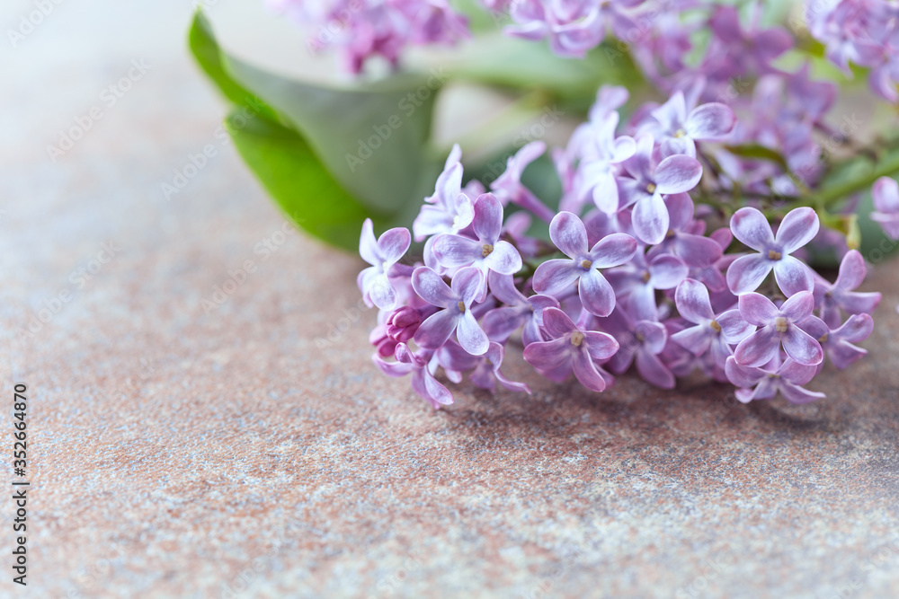 Purple lilac on rustic stone background. Close up. Purple lilac on rustic stone background. Close up.