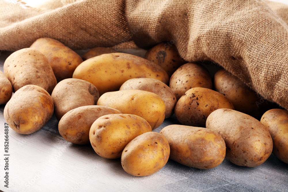 Pile of potatoes lying on wooden boards. Fresh healthy potato Pile of potatoes lying on wooden boards. Fresh healthy potato