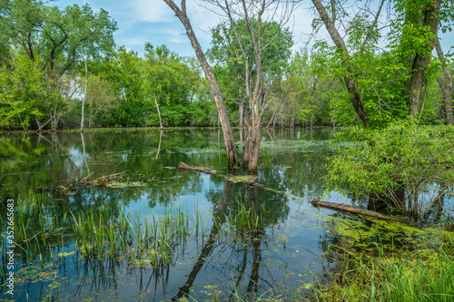 Wetlands Trempealeau National Wildlife Refuge