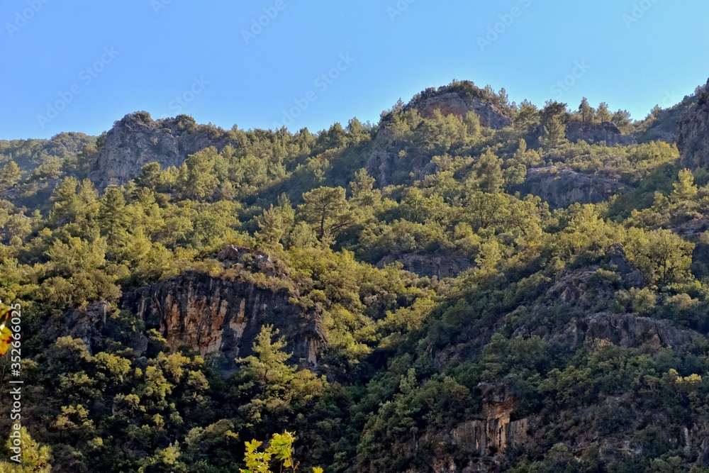 summer landscape of the Turkish mountains with green trees