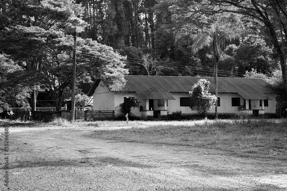 old house, forest, countryside, village old house, forest, countryside, village