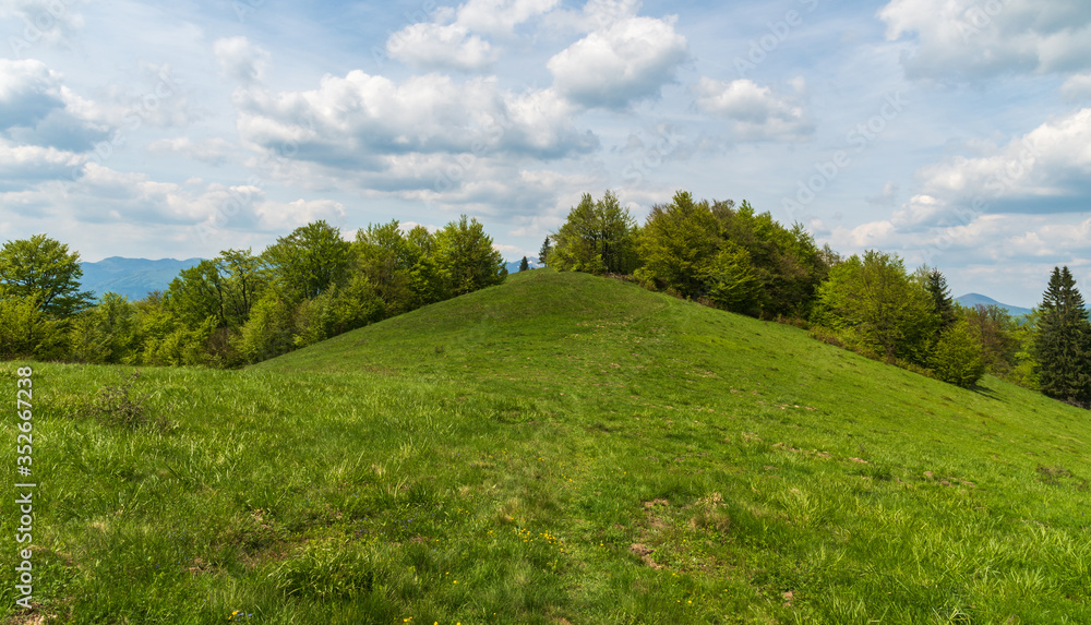 springtime mountain meadow with trees around and blue sky with clouds