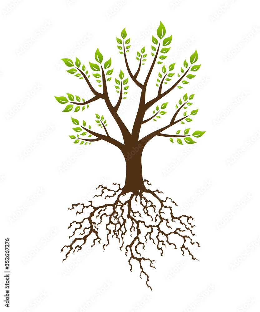 Obraz premium Abstract green tree with strong plant roots silhouette. Tree with lush root. Corporate branding identity design template