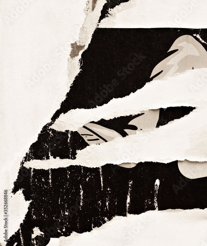 Grunge Textures Ripped Paper