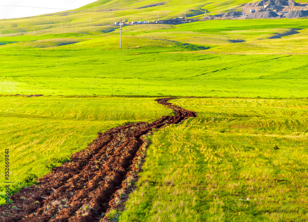 the soil pathway in a green field