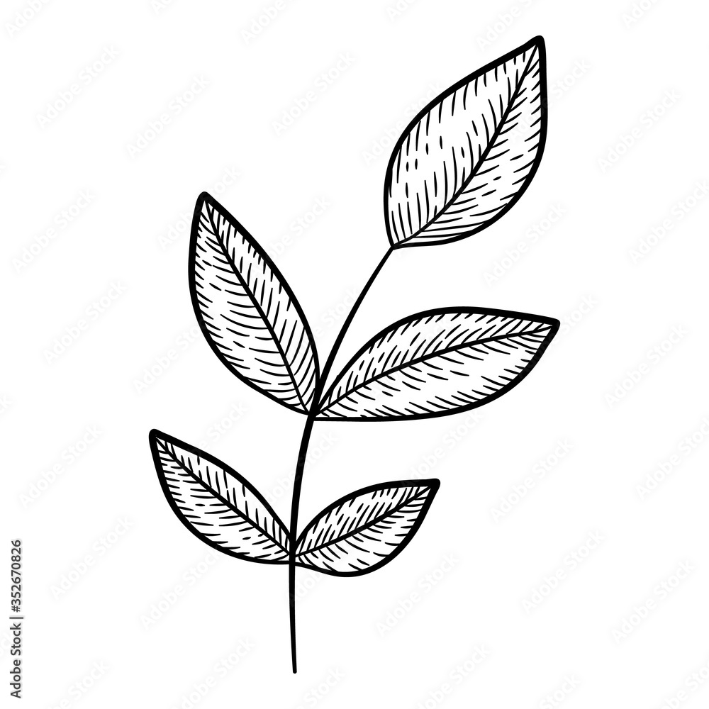 Summer leaf branch icon, hand drawn style