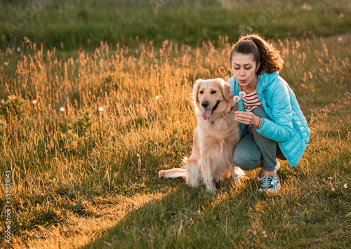 Lovely female girl playing with her dog golden retriever on summer meadow. Cute dog and his owner blowing dandelion.