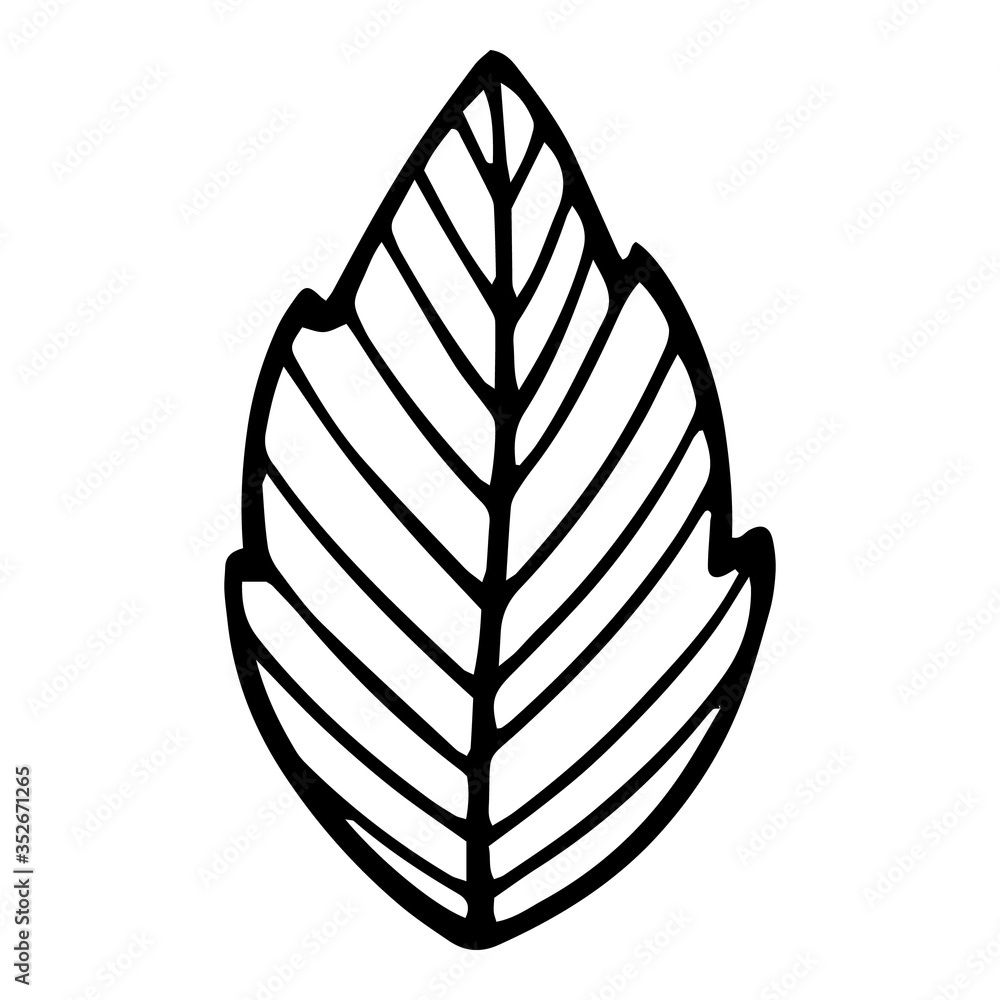Fresh eco plant leaf icon, hand drawn style Fresh eco plant leaf icon, hand drawn style