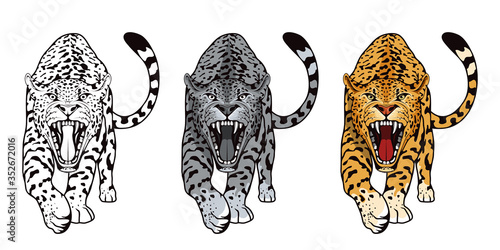 Set of angry, leopard. Stands leopard. Predator animal. Leopard mascot color logo. Animal tattoo. Angry animal sports mascot. Wild big cat. Natural. Logo animal for tattoo or t-shirt print