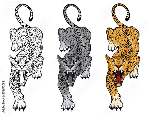 Set of angry, leopard. Stands leopard. Predator animal. Leopard mascot color logo. Animal tattoo. Angry animal sports mascot. Wild big cat. Natural. Logo animal for tattoo or t-shirt print