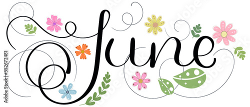 Hello June. JUNE month vector with flowers and leaves. Decoration floral. Illustration month June	
