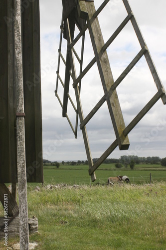 Fototapeta Wiatrak 