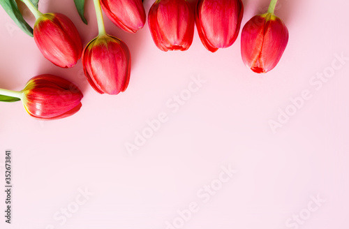 red tulips on a pink background. gift card concept. woman's day. mother day. victory day photo