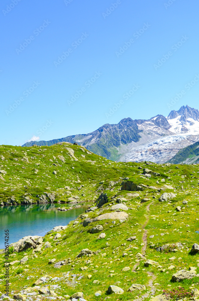 Alpine Lac de Cheserys, Lake Cheserys near Chamonix-Mont-Blanc in French Alps. Glacier lake with high mountains in the background. Tour du Mont Blanc trail. Green Alpine landscape. Vertical photo.