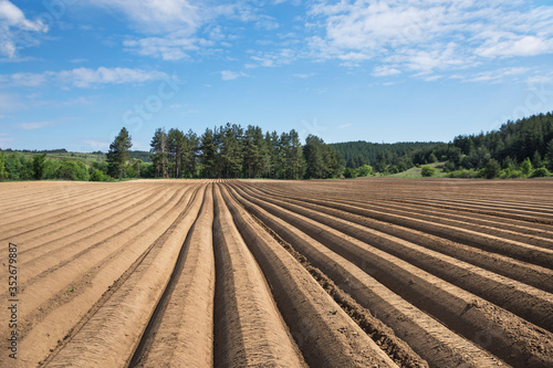 Plowed field ready for planting potatoes in the outskirts of Alino Village, Bulgaria; plowed agriculture field