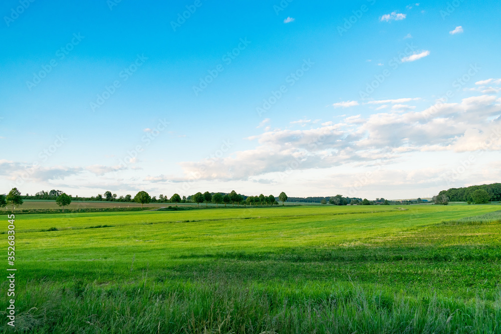 Obraz premium Ein grünes Feld und ein blauer Himmel mit Wolken.