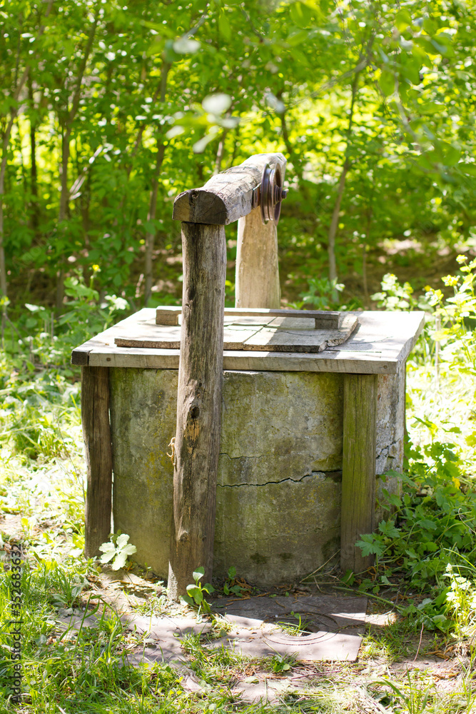 Fototapeta premium old well in the forest