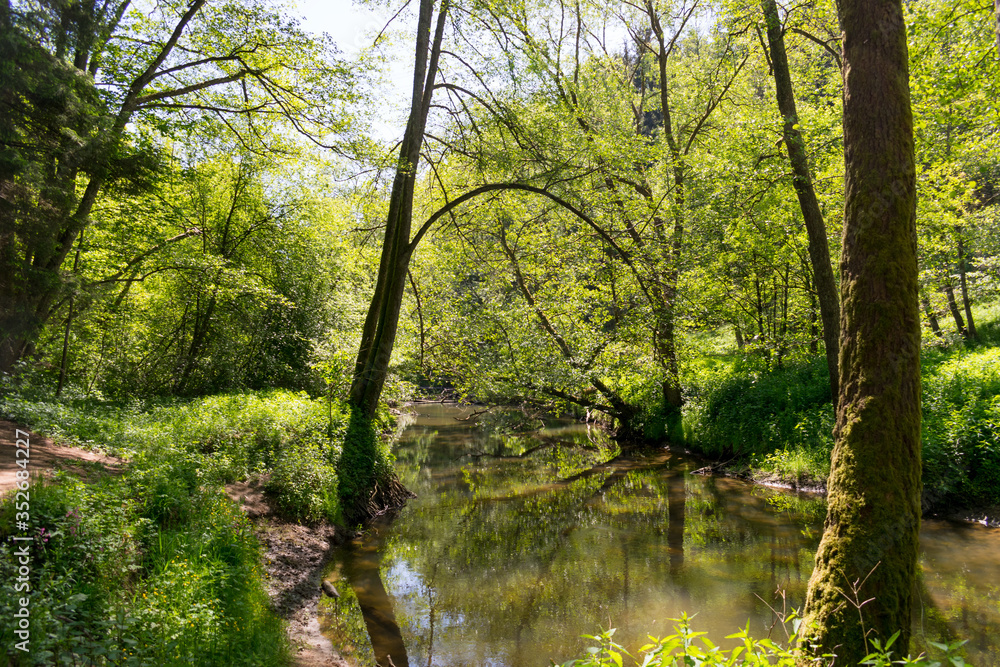 Die Schwarzachschlucht zwischen Feucht und Schwarzenbruck in der Nähe von Nürnberg bietet einen schönen Wanderweg mit Blick auf die Schwarzach. Der Fluss spiegelt das Grün der Bäume. - obrazy, fototapety, plakaty 