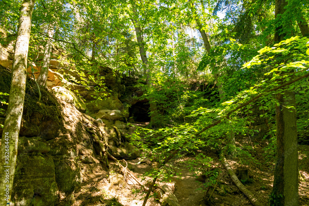 Obraz premium Die Schwarzachschlucht zwischen Feucht und Schwarzenbruck in der Nähe von Nürnberg bietet einen schönen Wanderweg. Die Wände und Säulen aus Sandstein sind charakteristisch für die Region um Nürnberg.