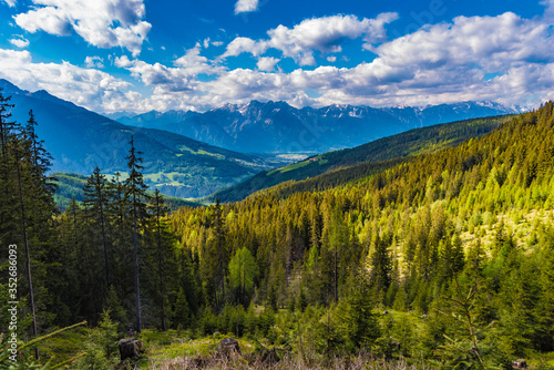 Fototapeta Naklejka Na Ścianę i Meble -  Wunderschöner Bergwald im Stubaital, Tirol