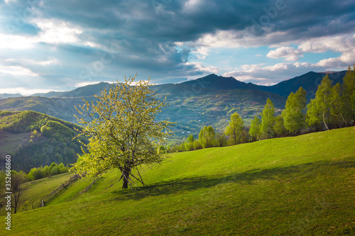 Simple rural landscape on the hills in Romania