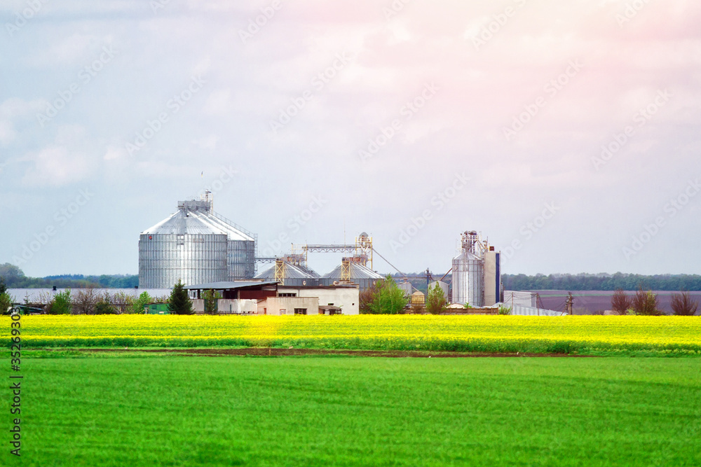 Agricultural Silos - Building Exterior, Storage and drying of grains, wheat, corn, soy, sunflower against the blue sky with rice fields.