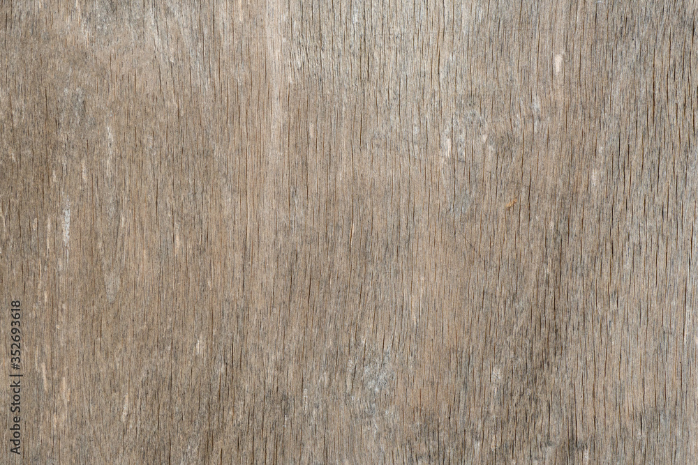 Wooden background, wood grain, close-up texture. Old plywood. Wooden background, wood grain, close-up texture. Old plywood.